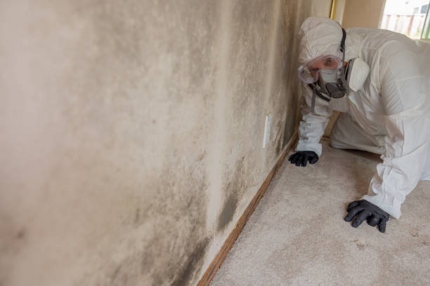 Mold Remediation for Vacation Homes in Dentsville, SC